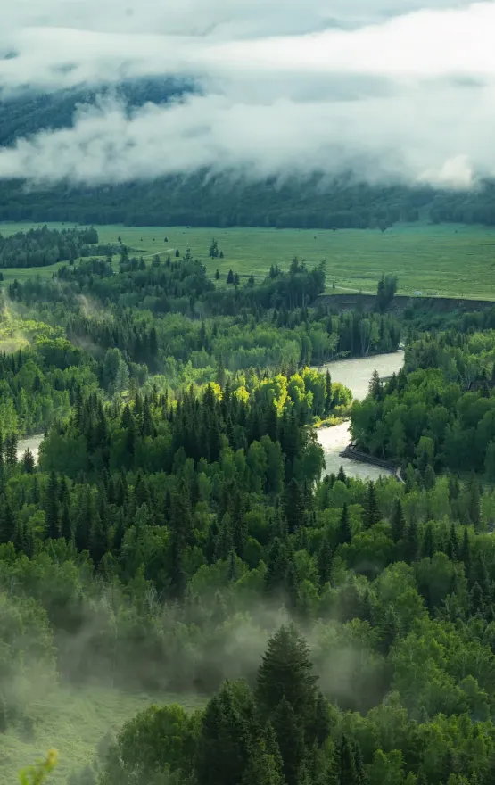 2685350fa6569f9f238d8fcf9b62197e-sz_815301-1