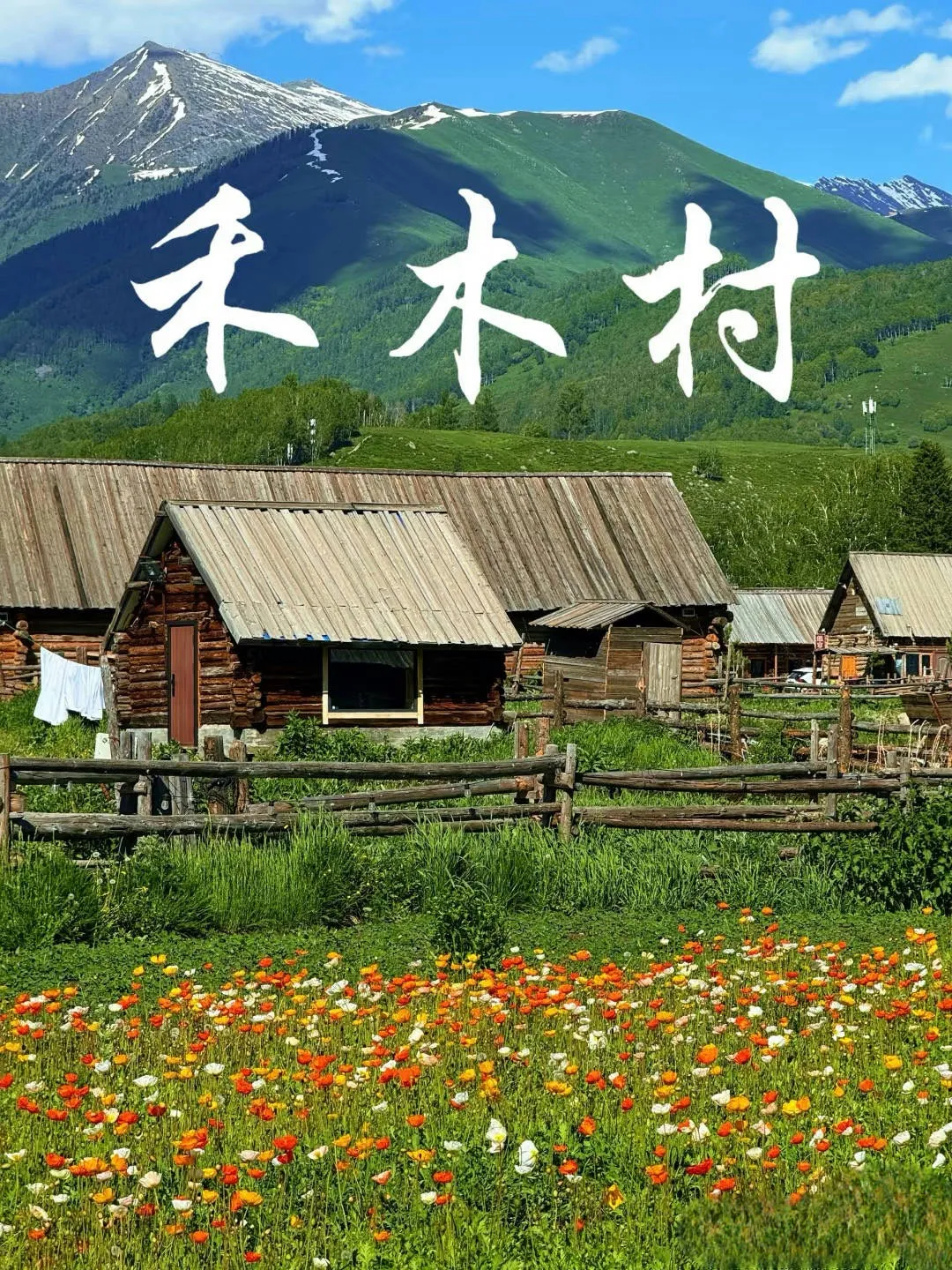 27474999e53c56094e5194336137bf59-sz_1830242