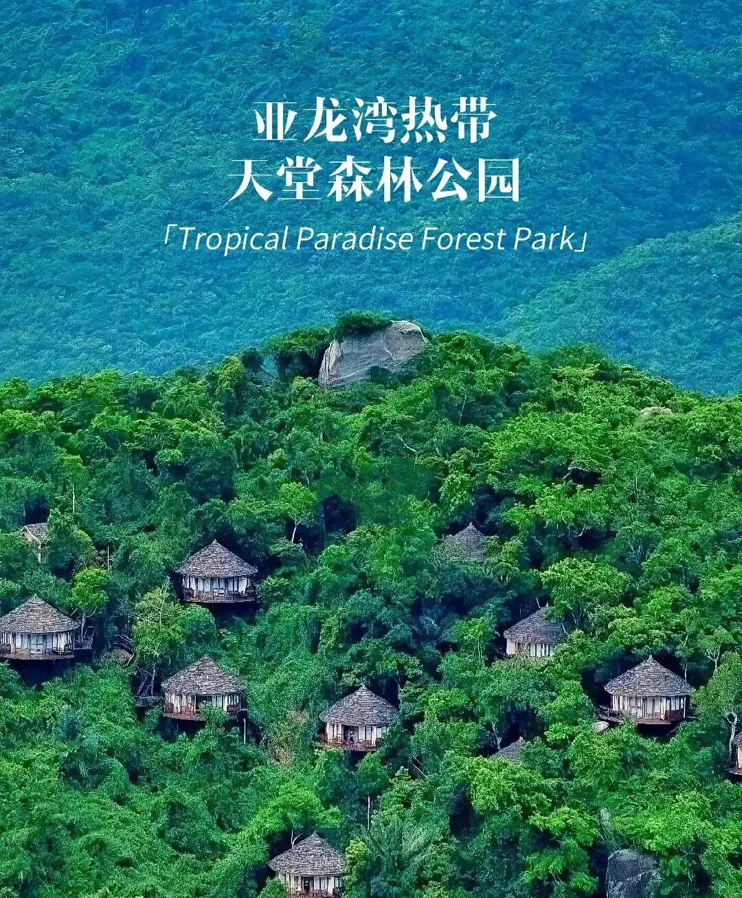 277e13f0acce0c4493e64b0880c67780-sz_536039