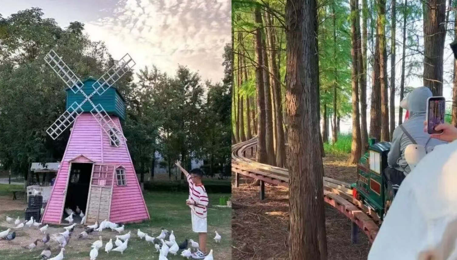 29713dae0ee289eda4d969c13a668050