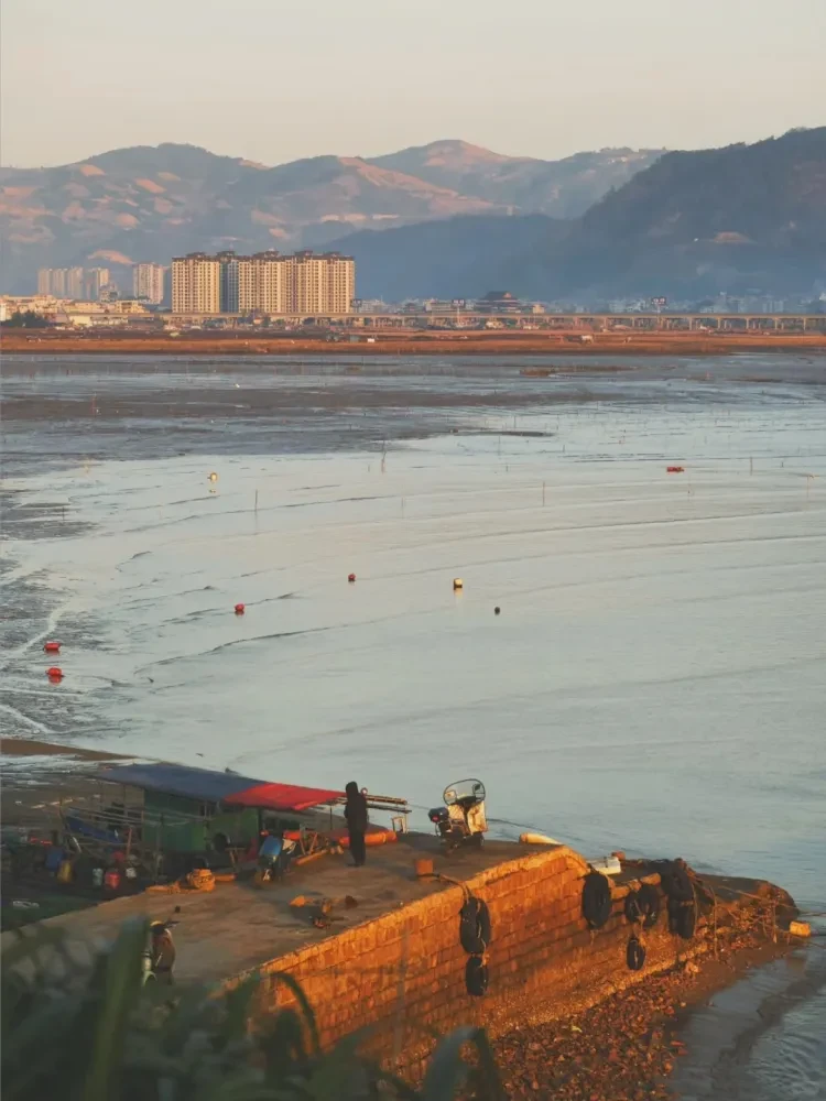 2977072865bd79fe97a46ac75e934fde-sz_295929