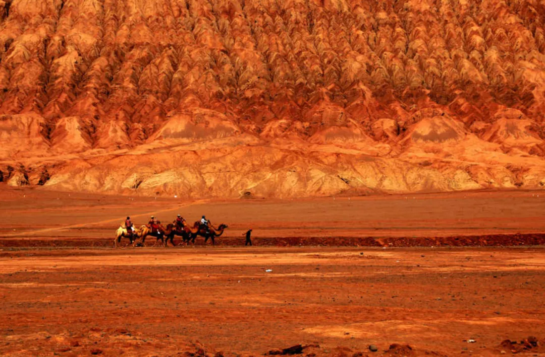 2a319abd28f4cc770994163cb01e240d-sz_3090362