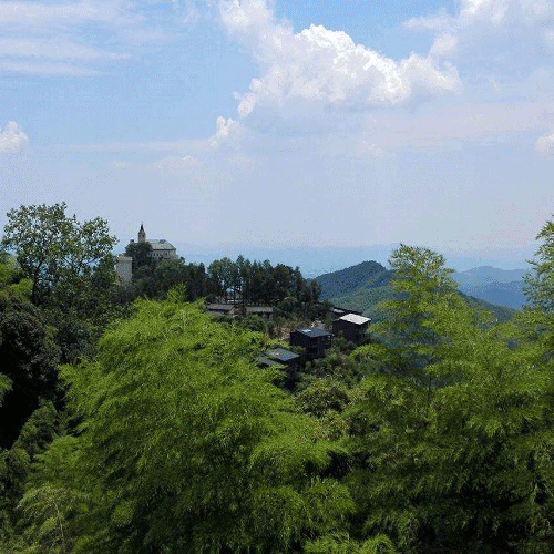 2a4a3e3b44aafed3f4b197ee7085e4ab-sz_641383