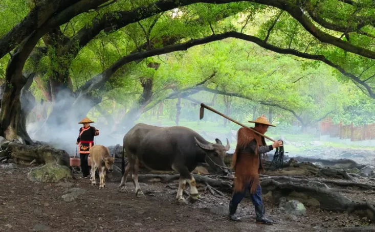 2a54ce6875016b839e9ec3b91d699b9c-sz_870141