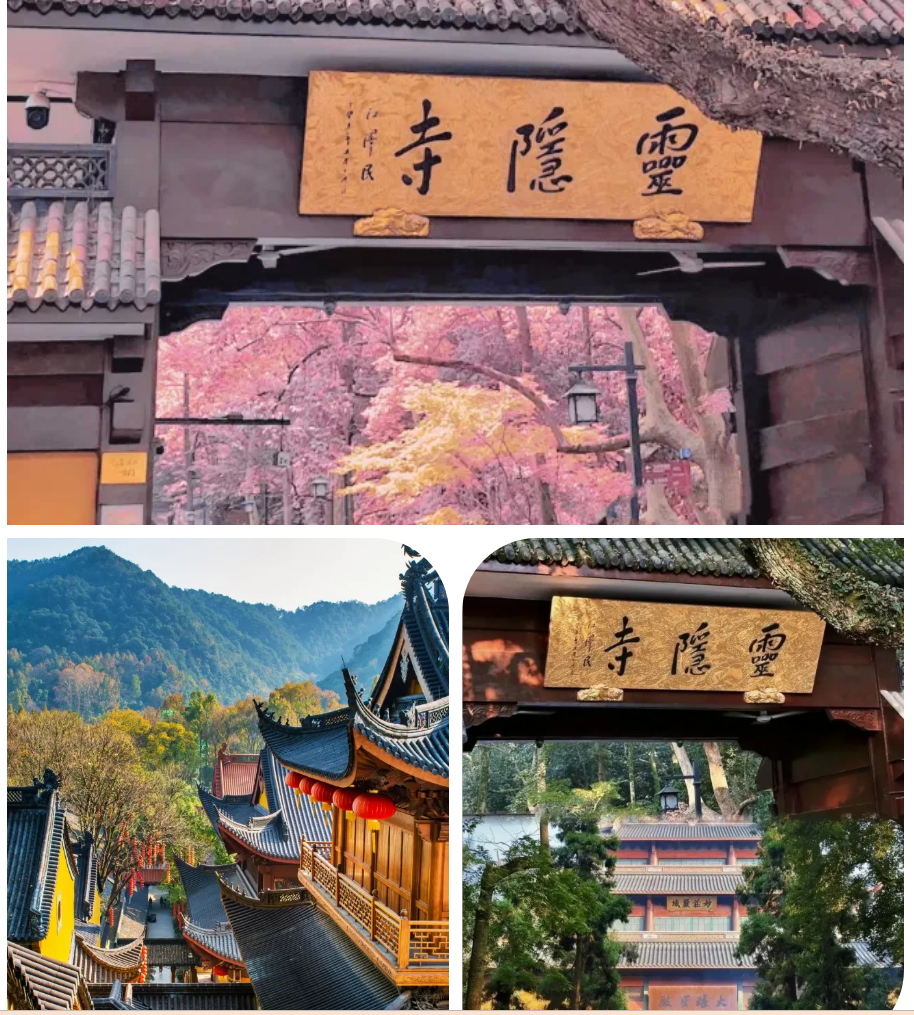 2b3f542f066368ac70f6d055b50f9639