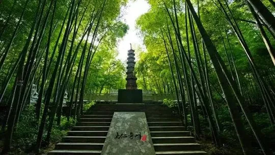 2b5e389ccecfc3539bbbb8eb862009c7-sz_81088