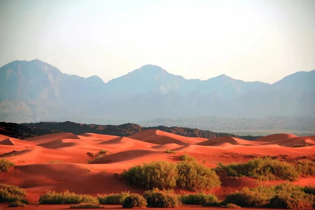 2d4f026169ad10affc0e3f4928acdd62-sz_68451