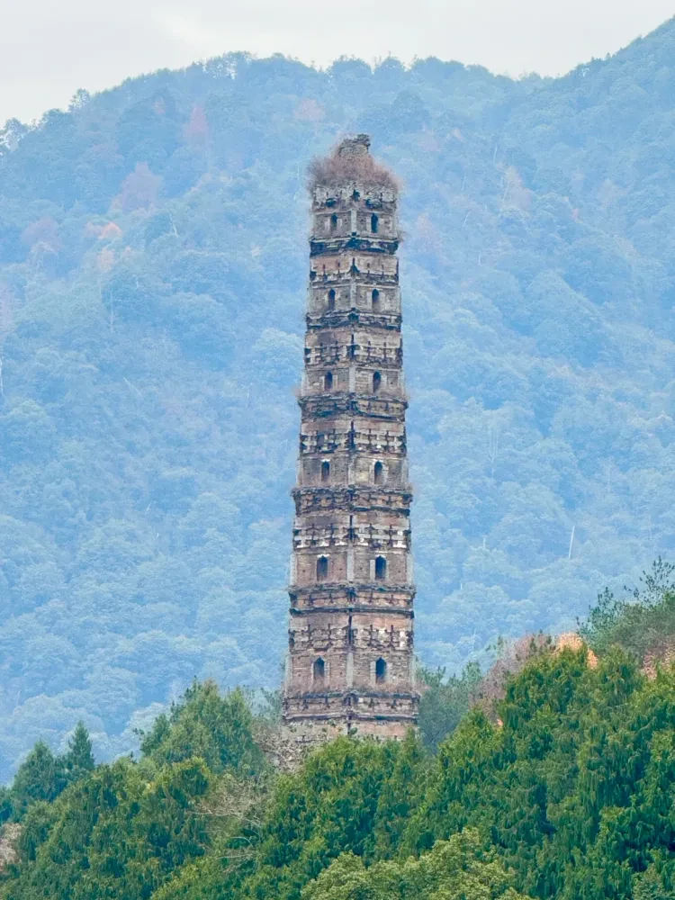 2e5600bded64c271042a7fe1b3dfffda-sz_3296775