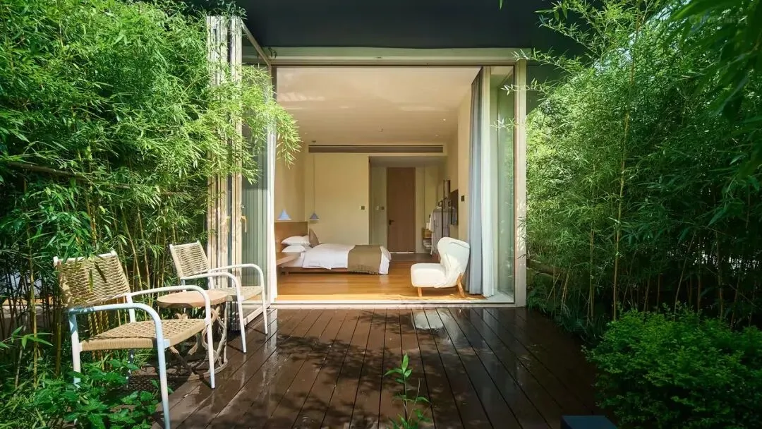 2ec637d432610d8c377eae51a56904e0-sz_170655