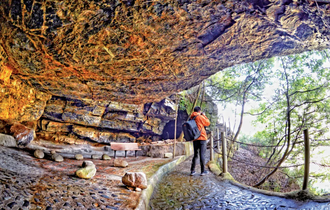 2ff8b7873fd7121884bacec2e7bd81fa-sz_2127644