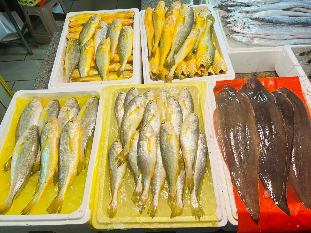 31192cc3ffe617cda51c246be8622129-sz_1536562