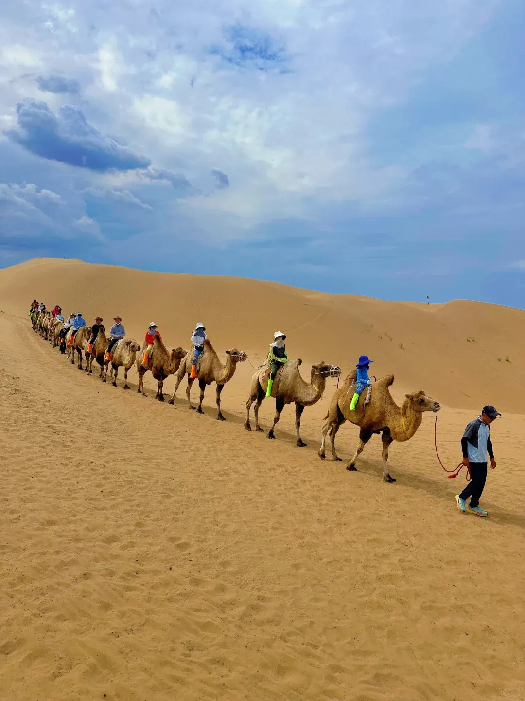 3139218235b89291cb6ae95e1e262946-sz_1868618