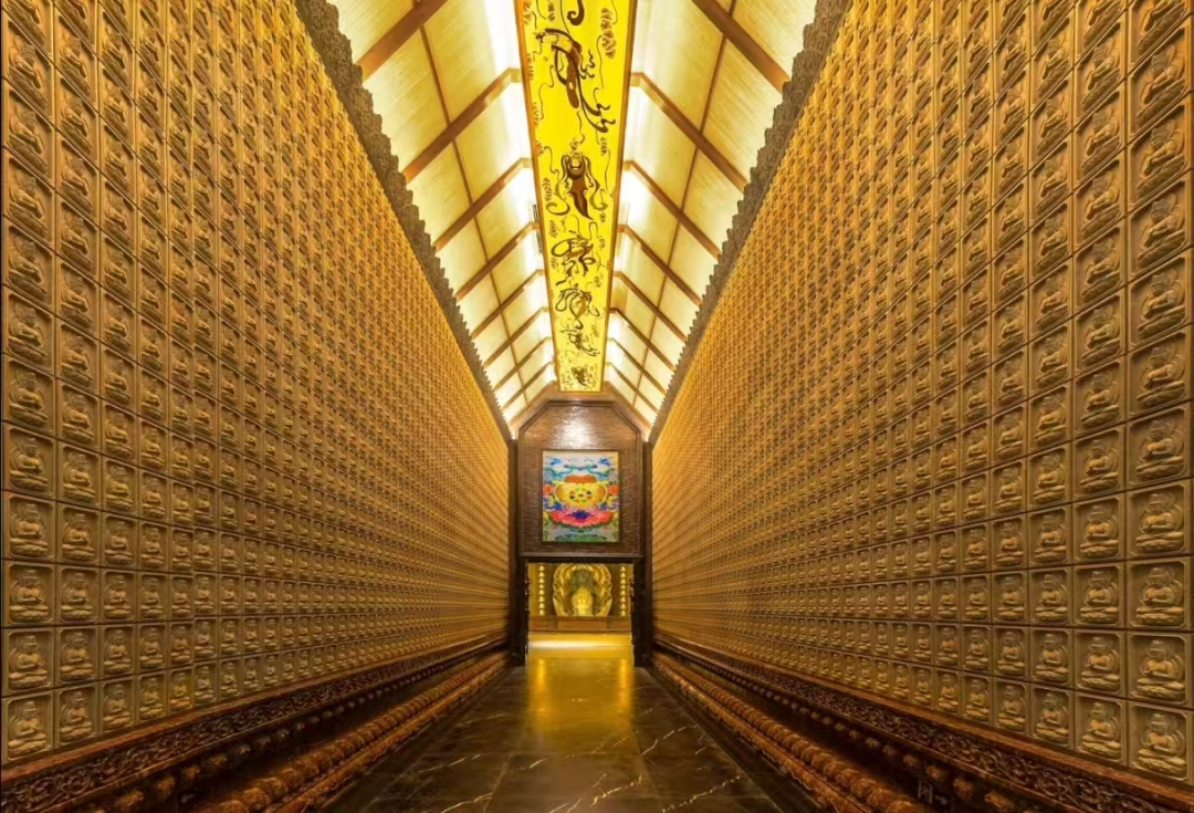 31df48313eb9c4fbb9c45d749beed589