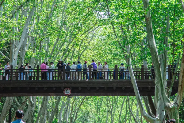 3219a5619e1eb983ee6550d6bd51f07d