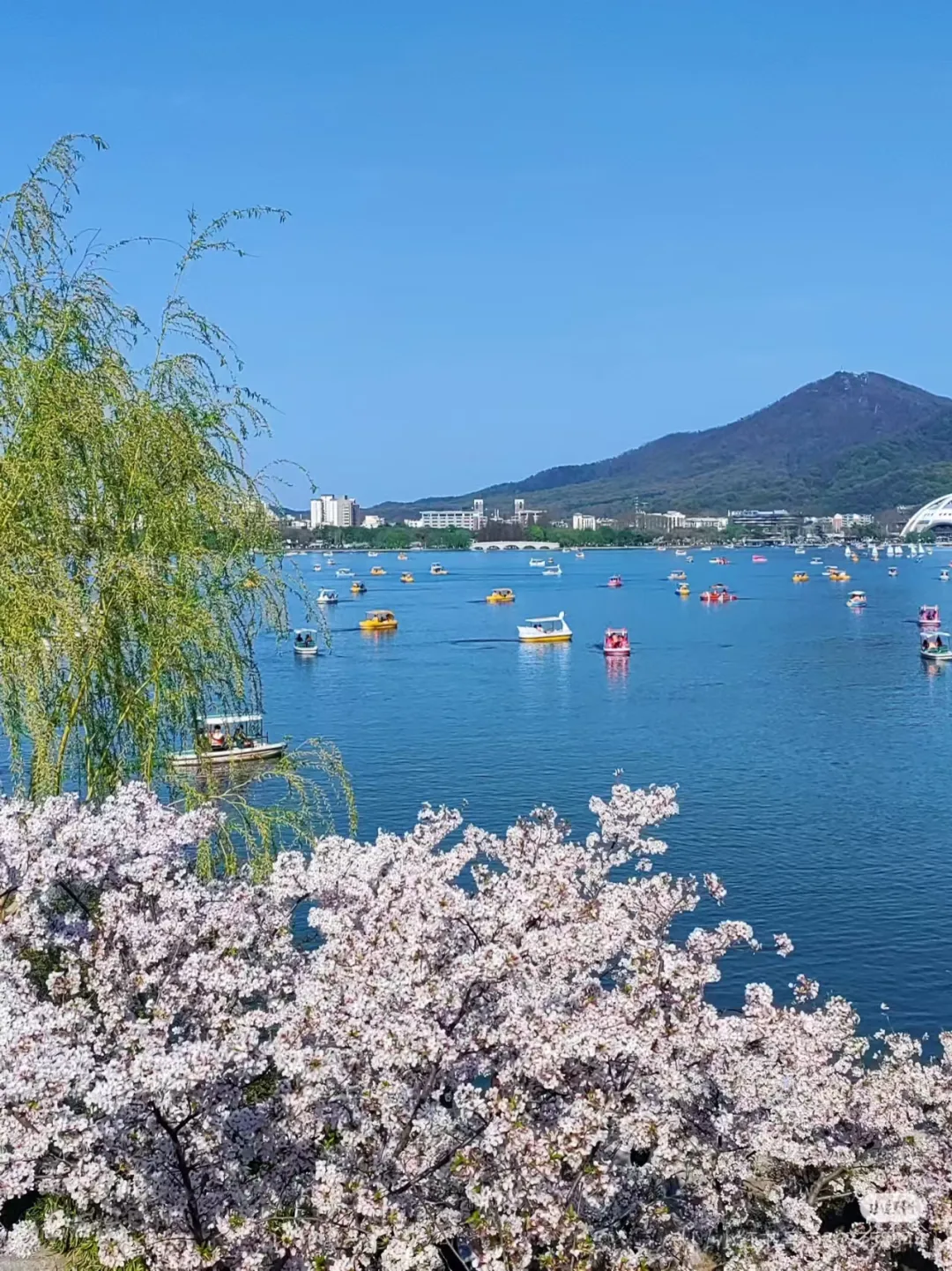 3275cd2d719d0162cbeee33d5f76db39-sz_1493648