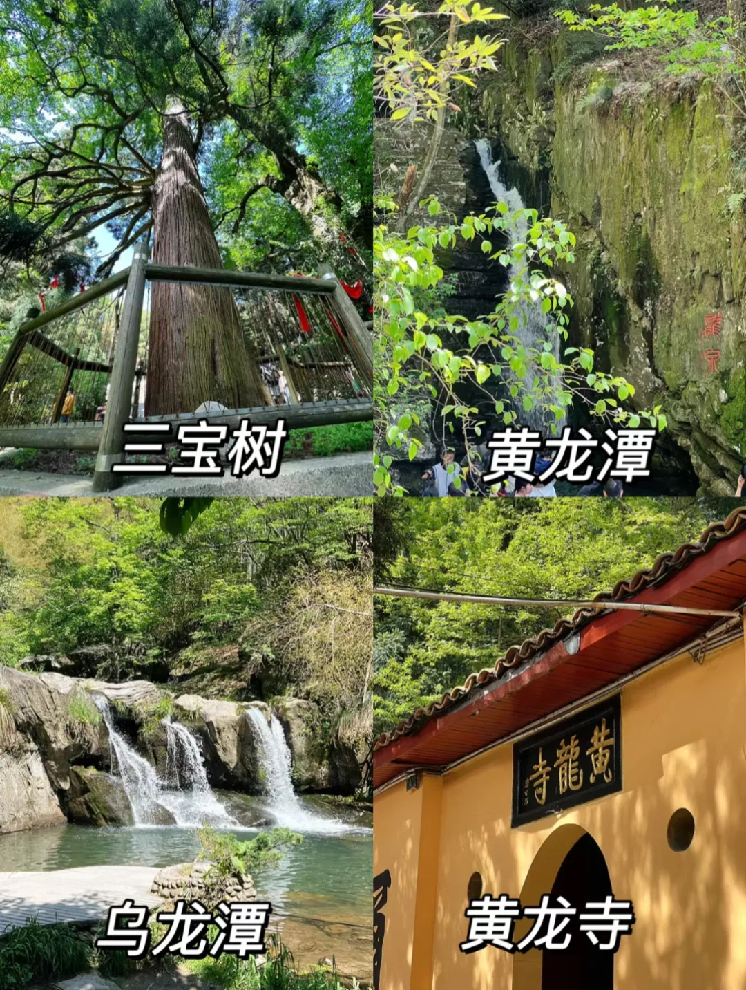 327bd55772e801905c2194f22091923b-sz_1477636-1