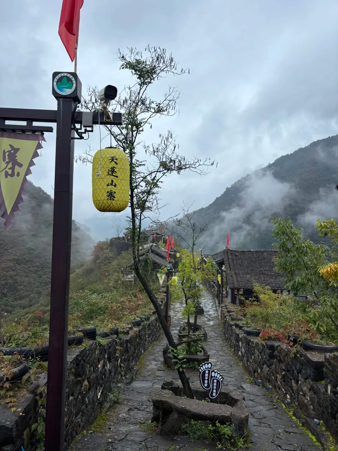 32a1ac71ed25bc733434f662cb49238a-sz_2282221