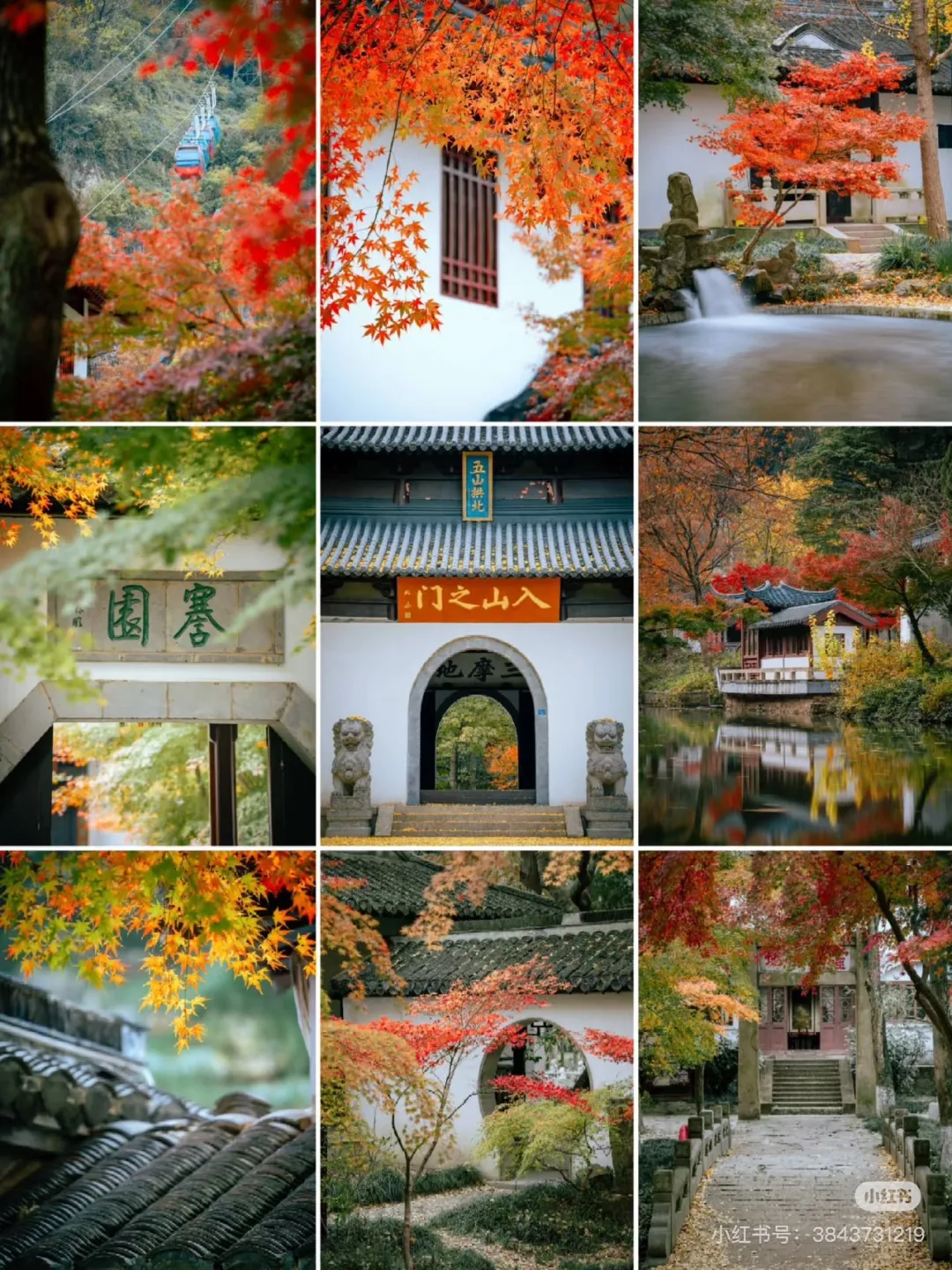 335a05251d07353506087350ca0c3377-sz_651363