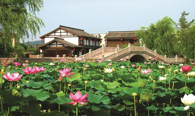 3448a206a9b6c3341b332350a1208d2d-sz_81226