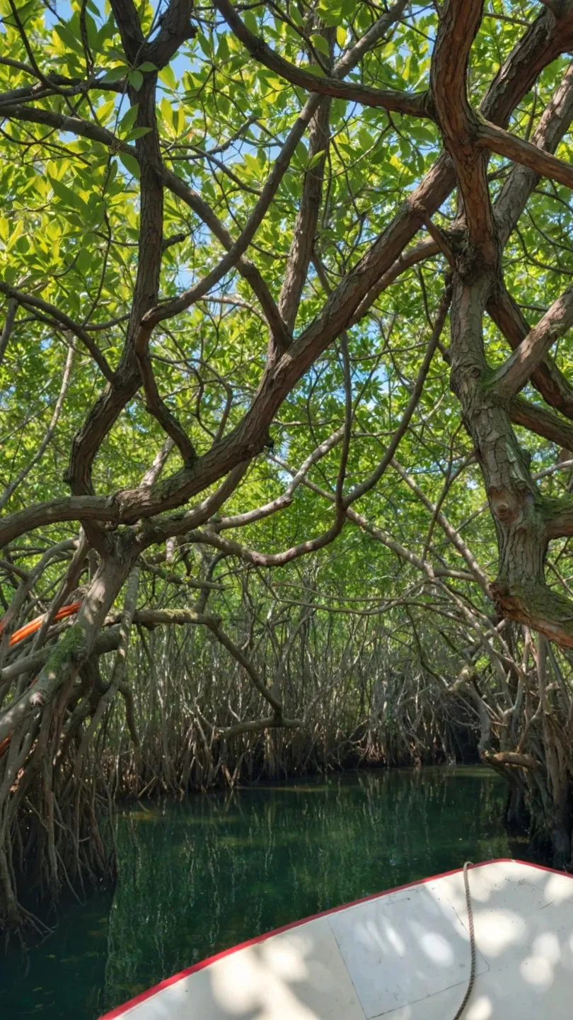 37219de680c0f4021656a7c54f09a7e3-sz_562114