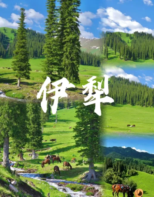 379cc99979cad1a5270573137ec2d530-sz_1005968