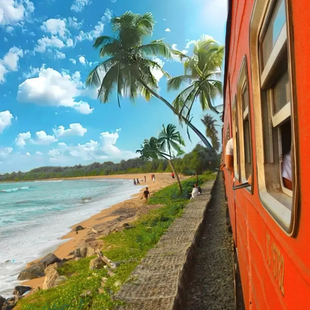 39536425da2ed54cd05f0ce836043c33-sz_1704303