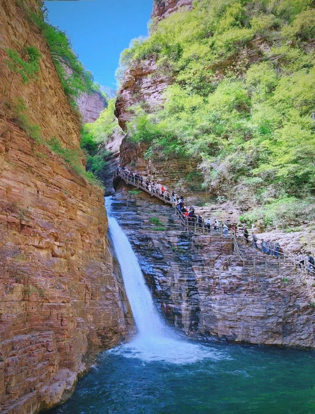 3a11c8f06edd0d78a12ec93bf71af648-sz_448826