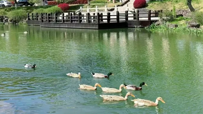 3a42cfcb60cff7a1f5ac4fe853c2f630-sz_496109