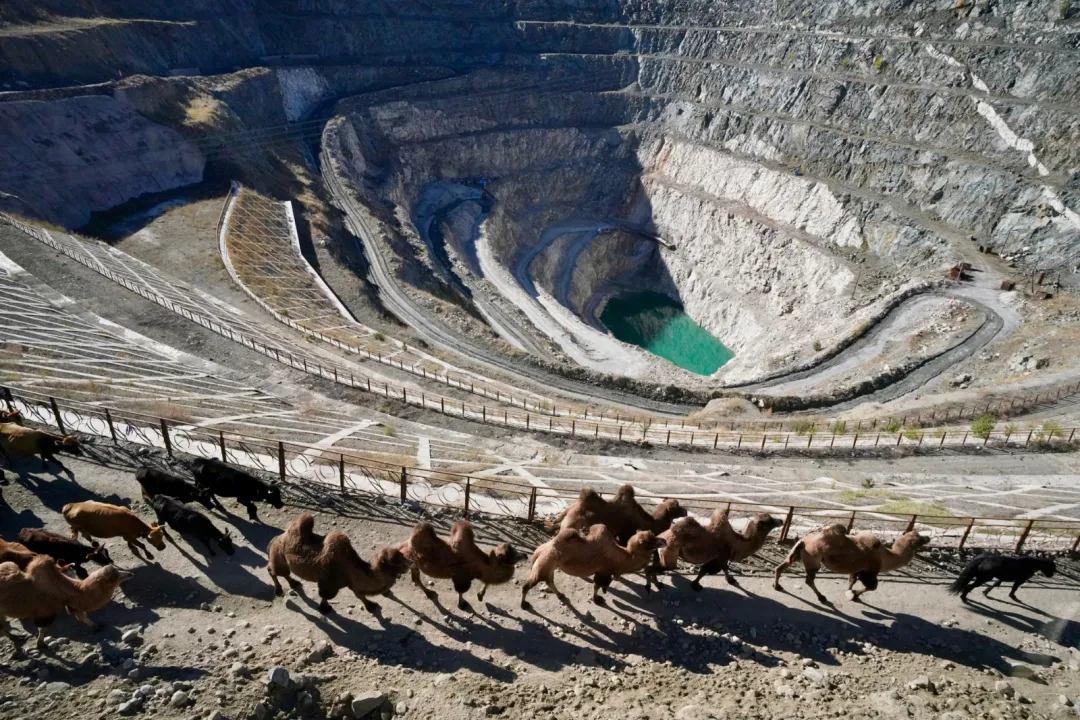 3b4b703badd34cdbd0b64631ee14a362-sz_655121