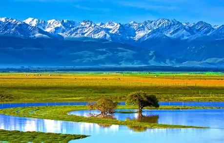 3b930146238f2c58409e8832e3fbcd86-sz_43532