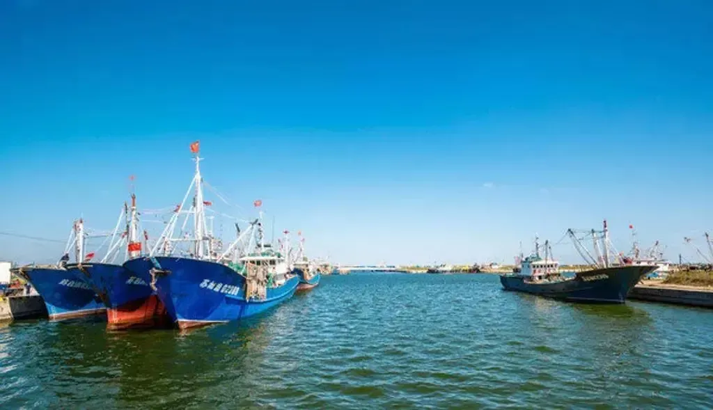 3bb4b933995c831711fd2cf446ae6895-sz_504358