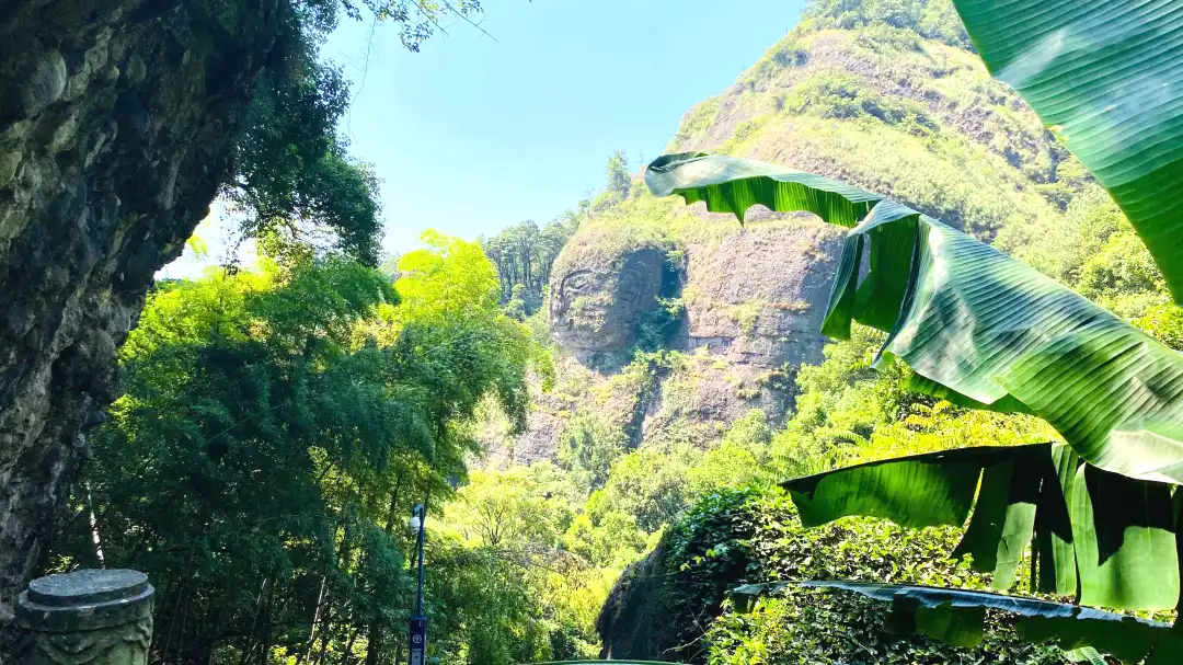 3bff395b2a4f40a2932b12dff7a1f51c-sz_1066229