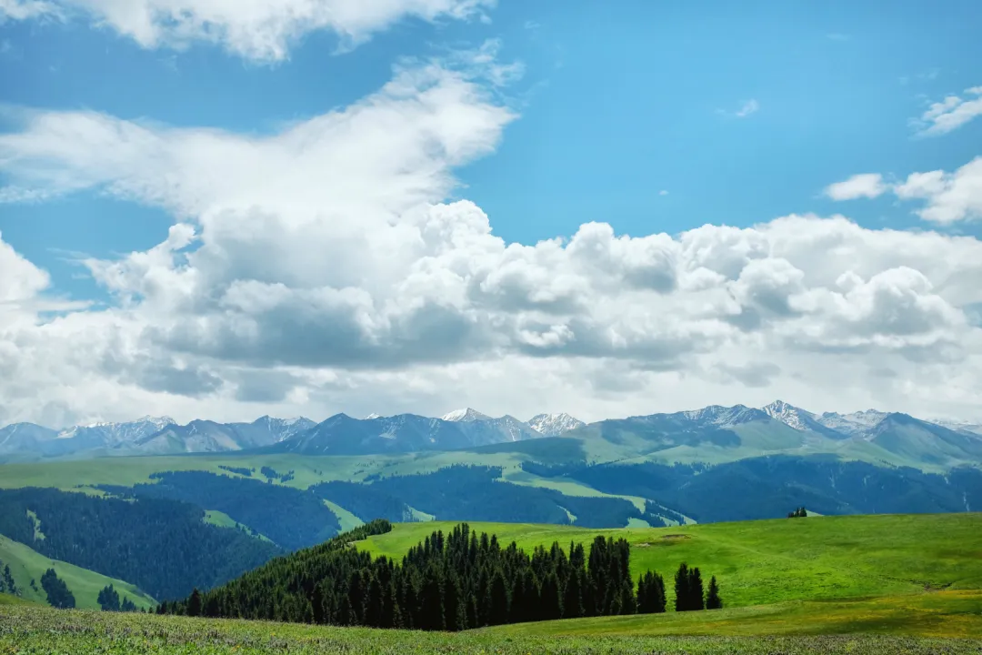 3c3dbc7a31bb1fe0cd6520b52605c6a3-sz_433337