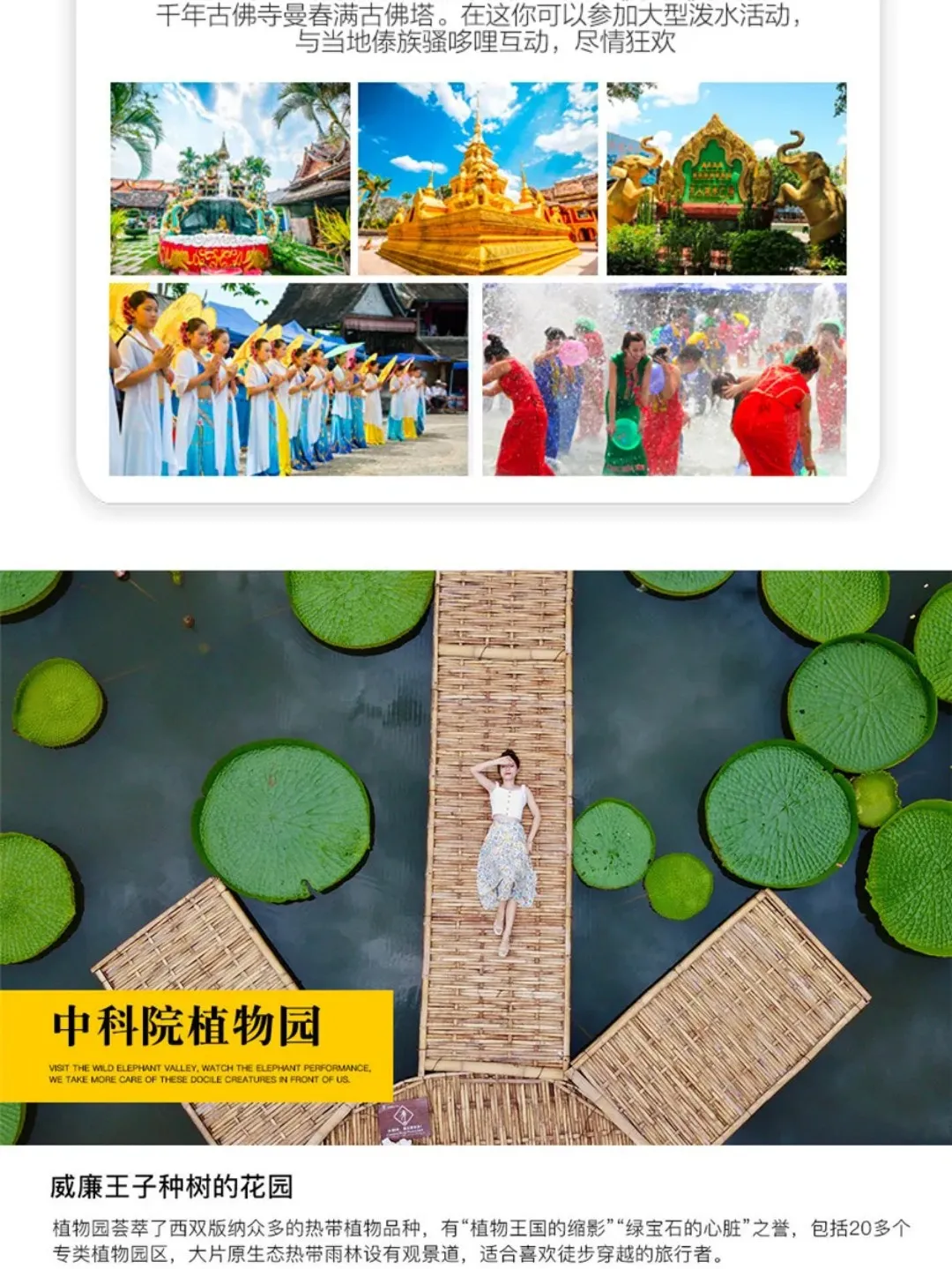 3e4bd04b065b4ee7dd7e94262298bb49-sz_371568