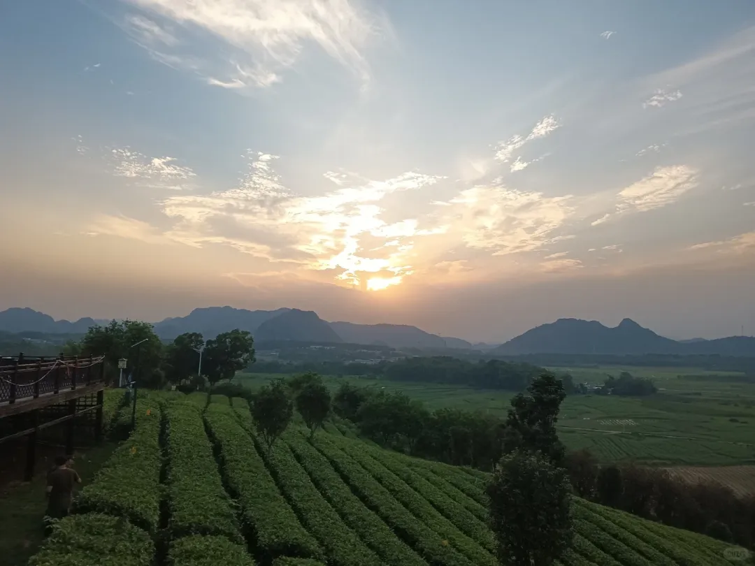 3e6a4231fbe978b416b3a3dac1a52697-sz_1265619