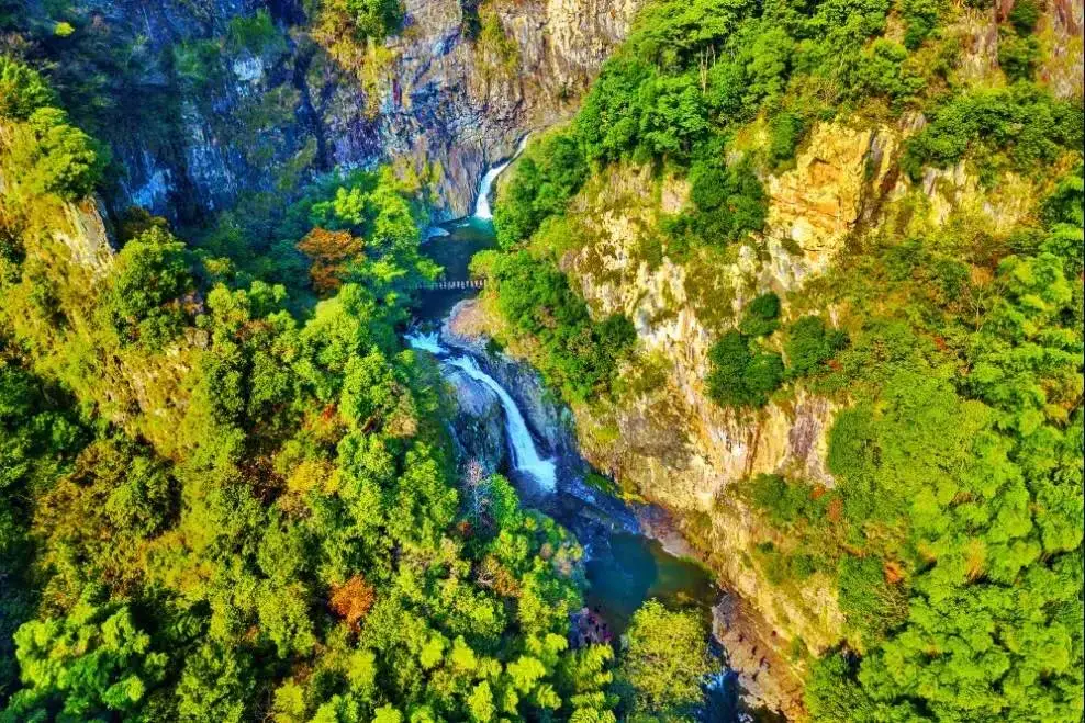 404601caad67b0ca3d71ff7c88c71f63-sz_169402