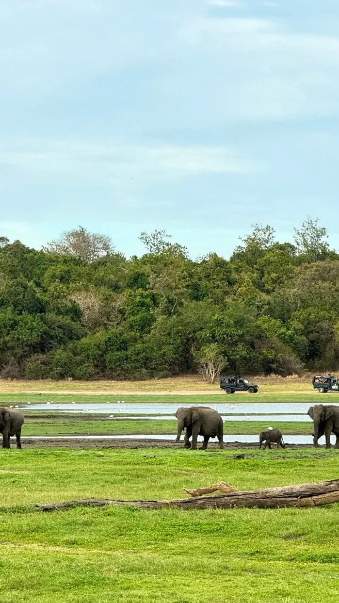 4113a33a5c2777e2bc8f905161291593-sz_430143