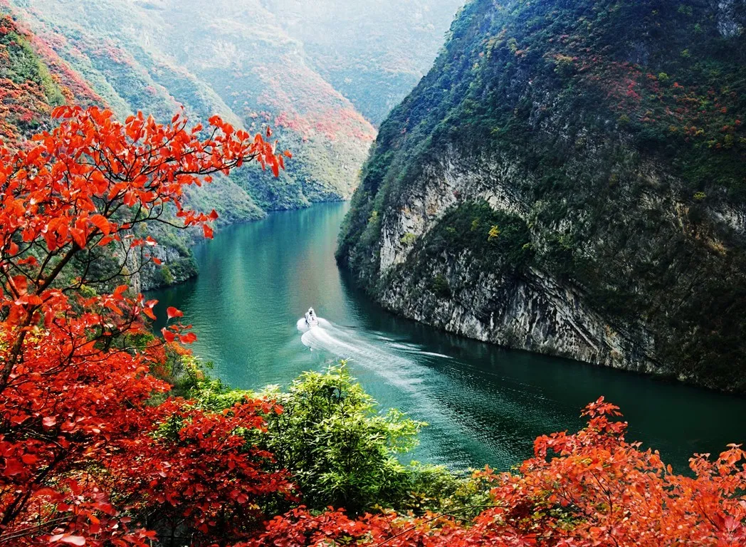 42565b4424dc398847919213e9504815-sz_404364-1