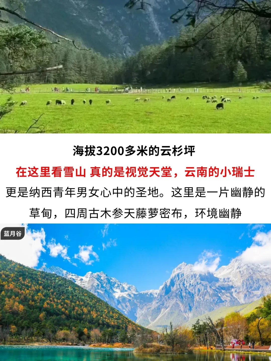 432a776dc7dceb8c322d17632019c9ae-sz_376816