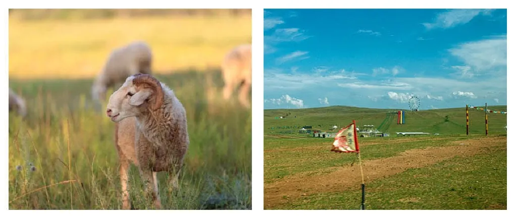 4366057c1710c1c3f0f0989f5a9974af-sz_281577