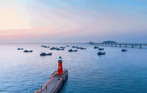 446b5b3c9744f5dbc9f82721a69bdd65