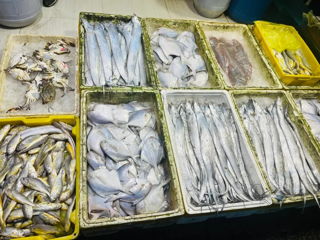 457619da00f9bf8f133441f1ebd8eff9-sz_1622192