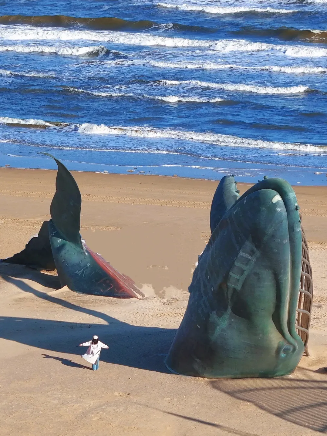 45b4c1c5f620b4e316fe96f265ce9167-sz_2664582