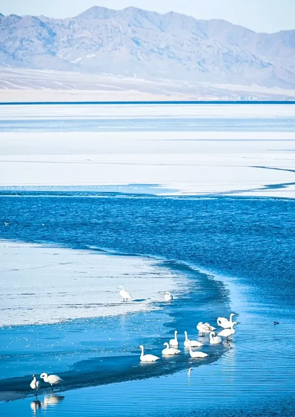 45ea9128117c50109ca29d1064e0b6d4-sz_768835