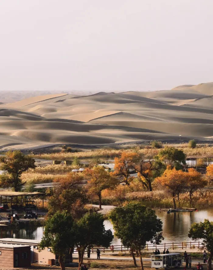 466c023837a17f3690e873bc8e12f1dc-sz_884357-1