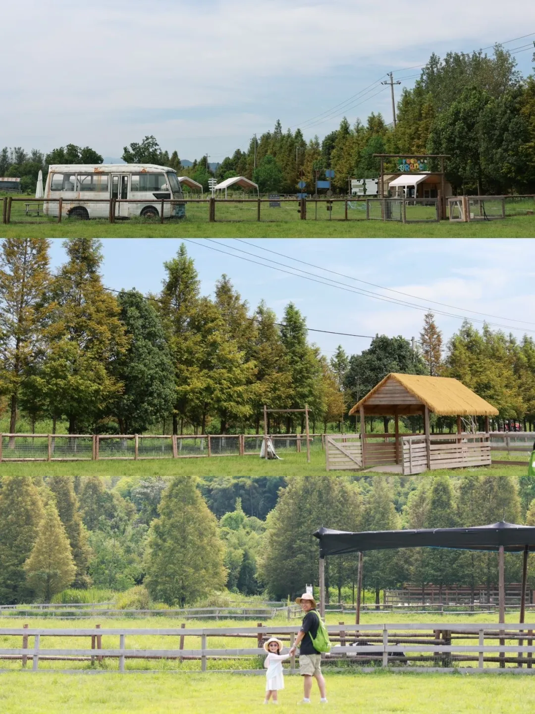 46d95d5e60ed6d5e90ce9f53389677b5-sz_497905