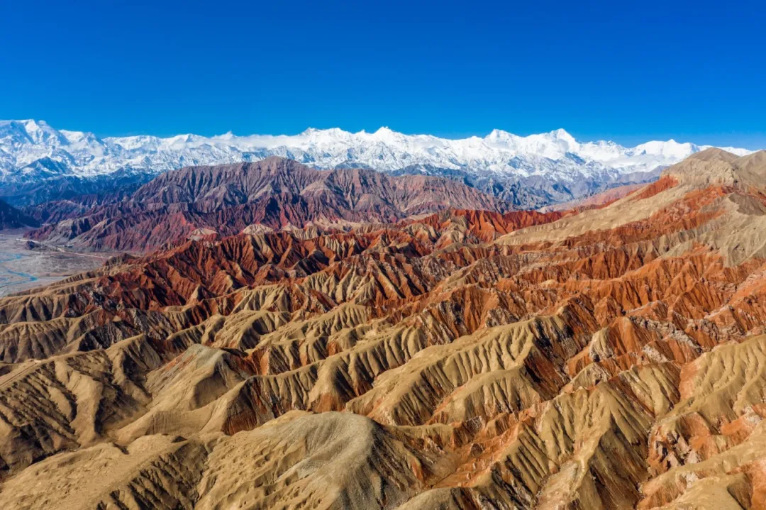 473de9e9c66895f6536ba67411734c16-sz_403199