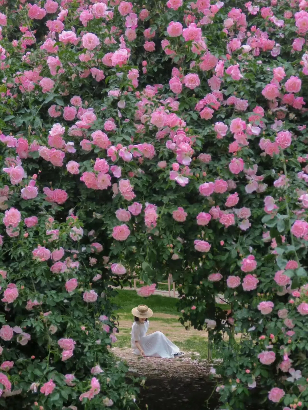 47706167f3d363991eb7275f08a6d0f4-sz_5715342