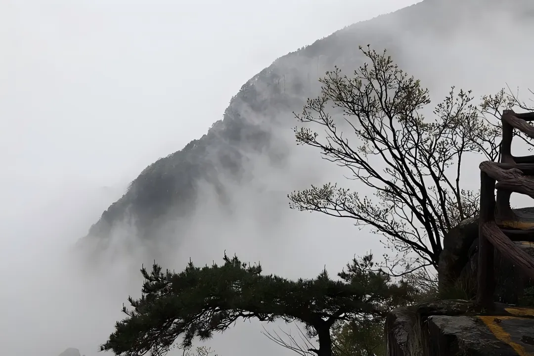 47b78157b393cf555be4d23650e55926-sz_822858