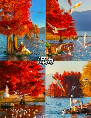 48551c4fc689b25547ba6ef328133263-sz_465266